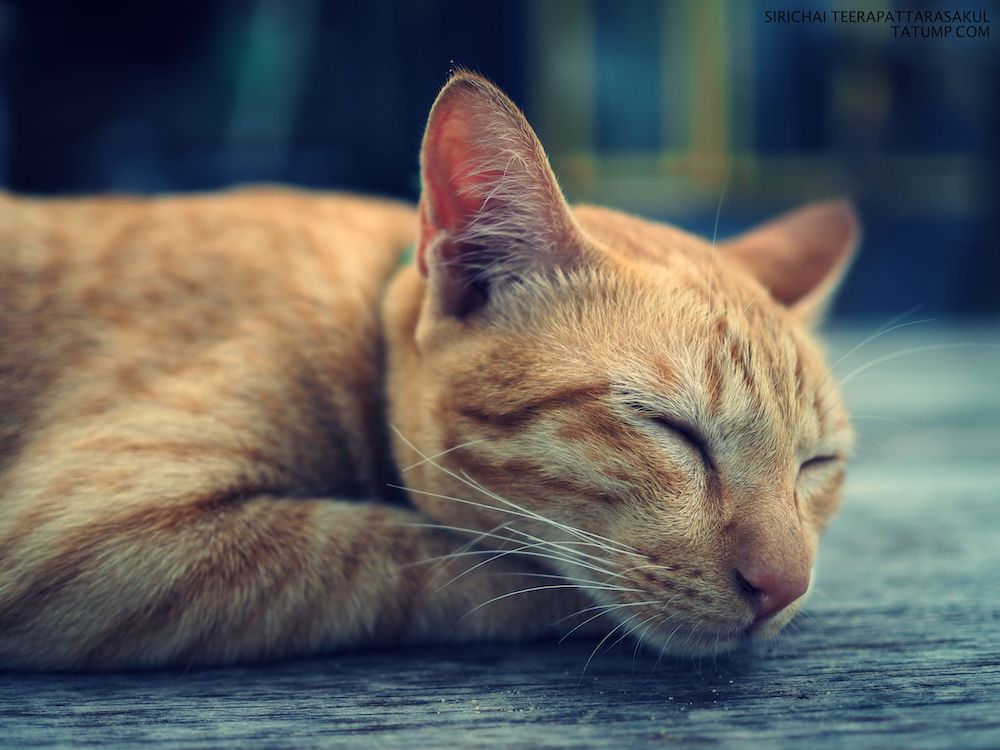 ชีวิตก็เหมือนกับน้ำบริสุทธิ์ที่อยู่ในแก้วใส