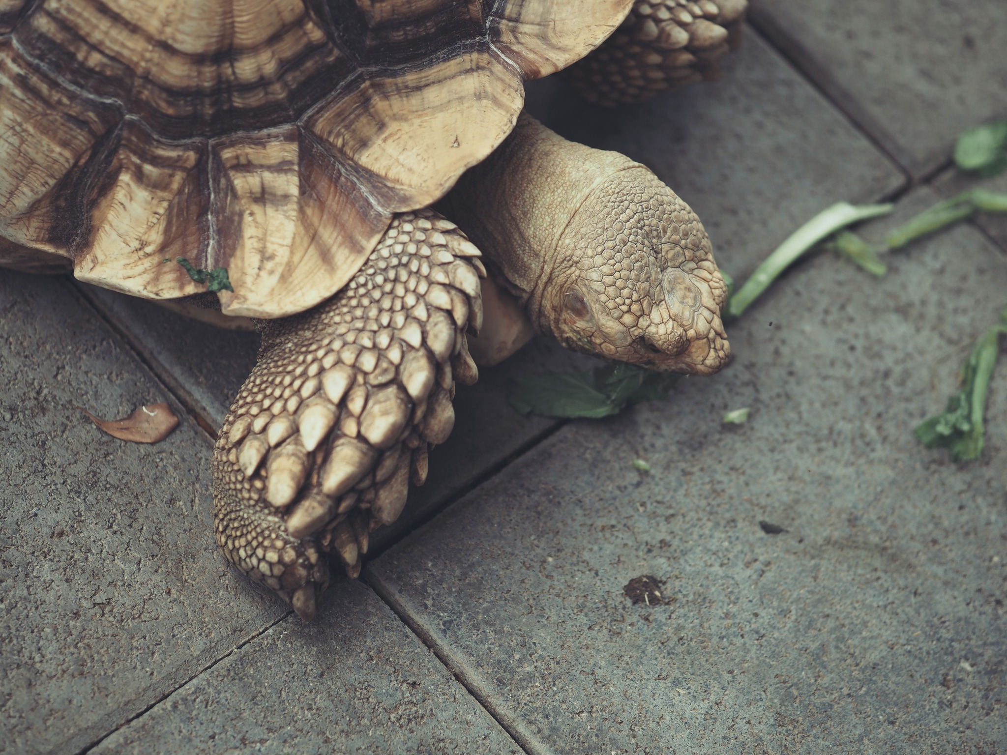 เป็นตัวของตัวเองดีที่สุด