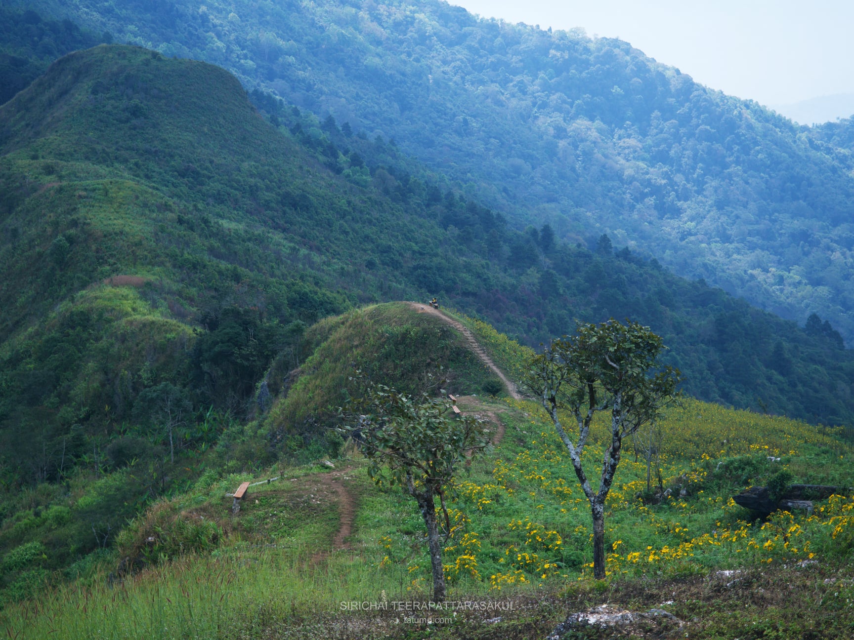 อาการหมดไฟในการทำงาน