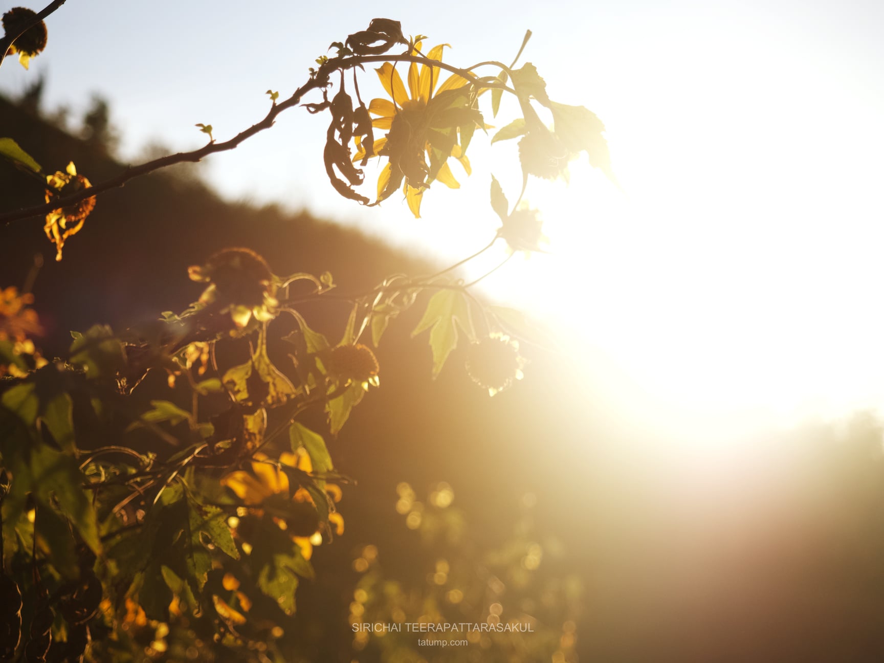 ประสบการณ์ซื้อบ้านหลังแรก