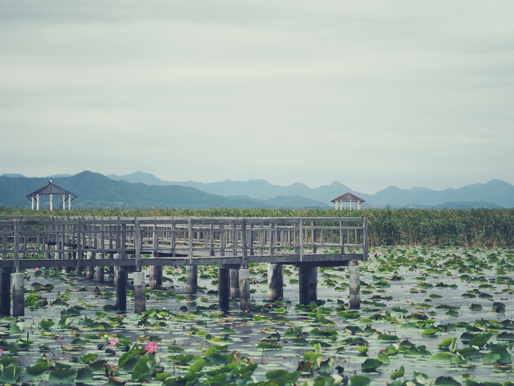 ชีวิตเริ่มต้นจากศูนย์ก็ต้องพยายามมากกว่าคนอื่นหลายสิบเท่า!