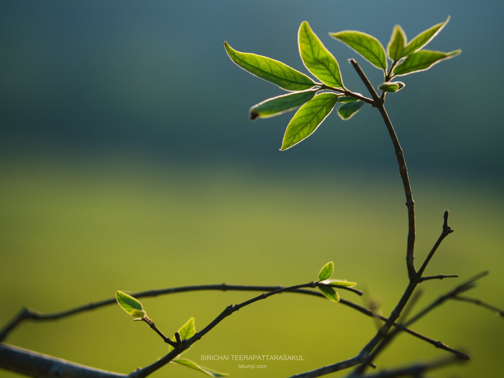 เกิดเป็นคนกลัวคนก็อย่าเป็นคน