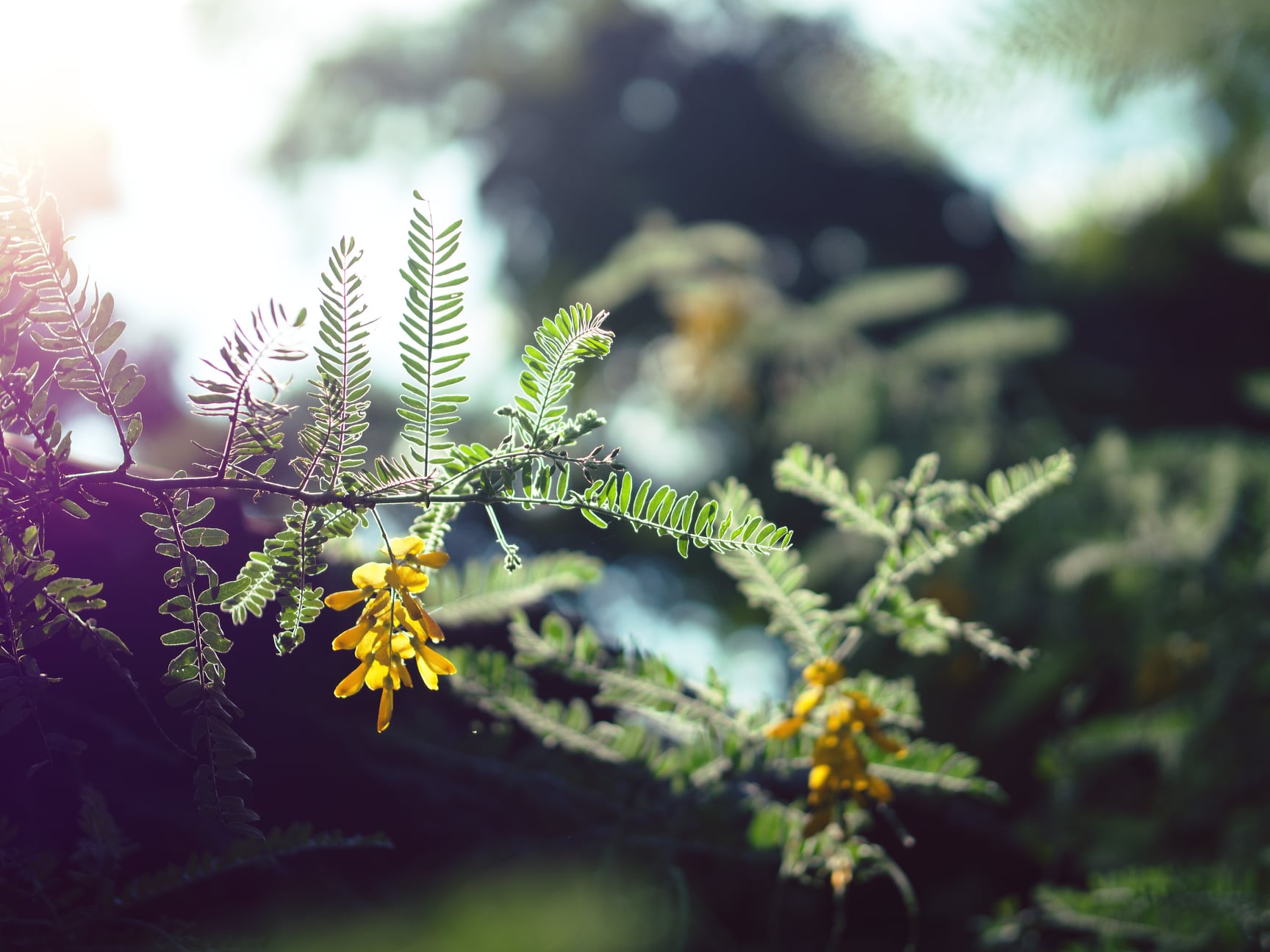 อย่าเพิ่งรีบเชื่อ