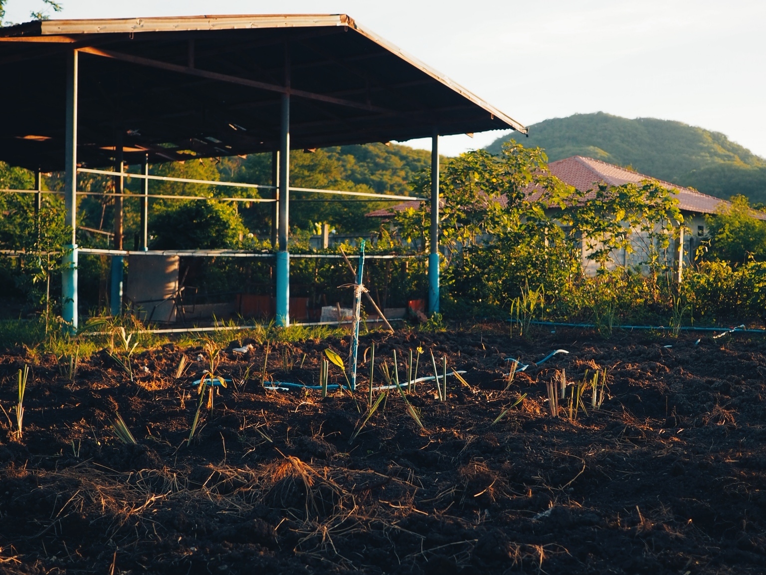 การจัดการความคาดหวัง