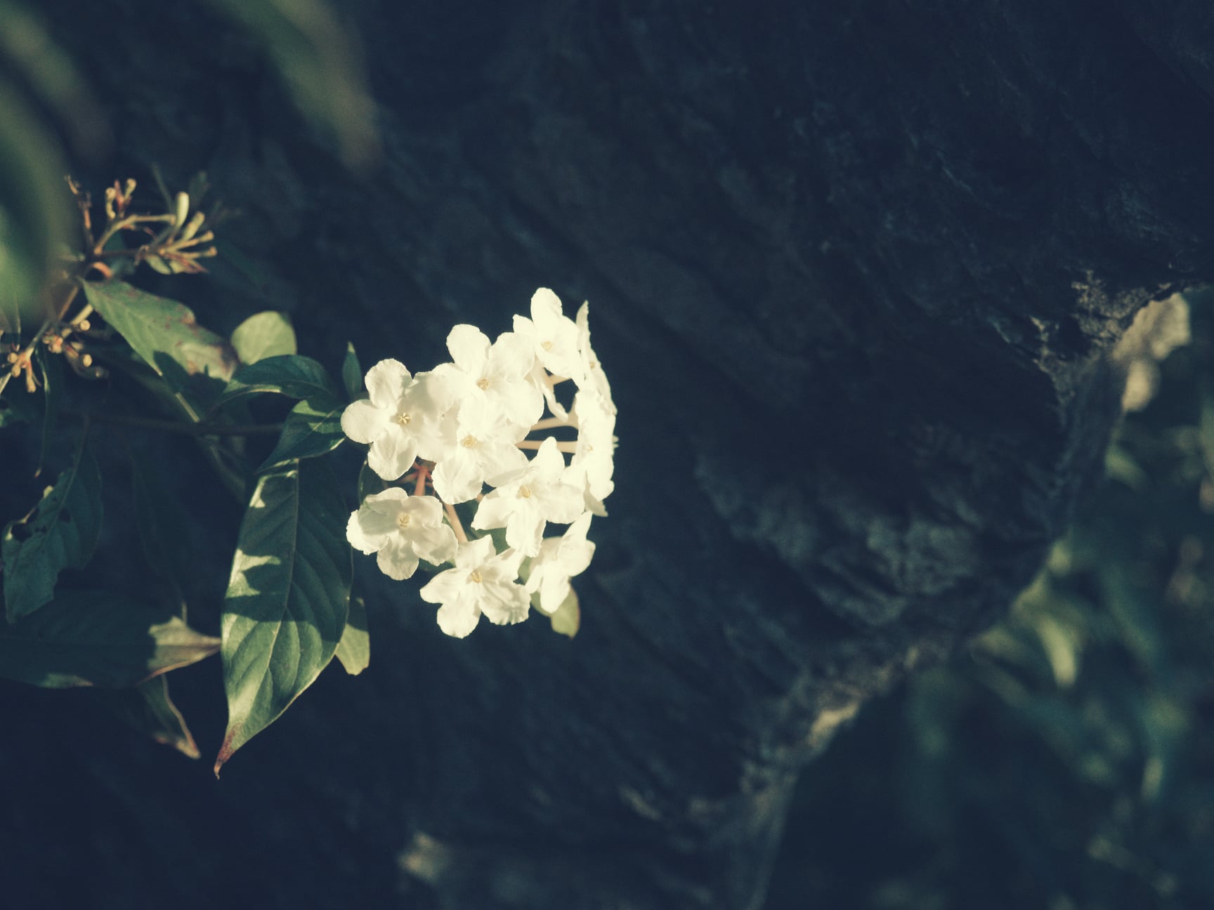 การเริ่มต้นมักยากเสมอ