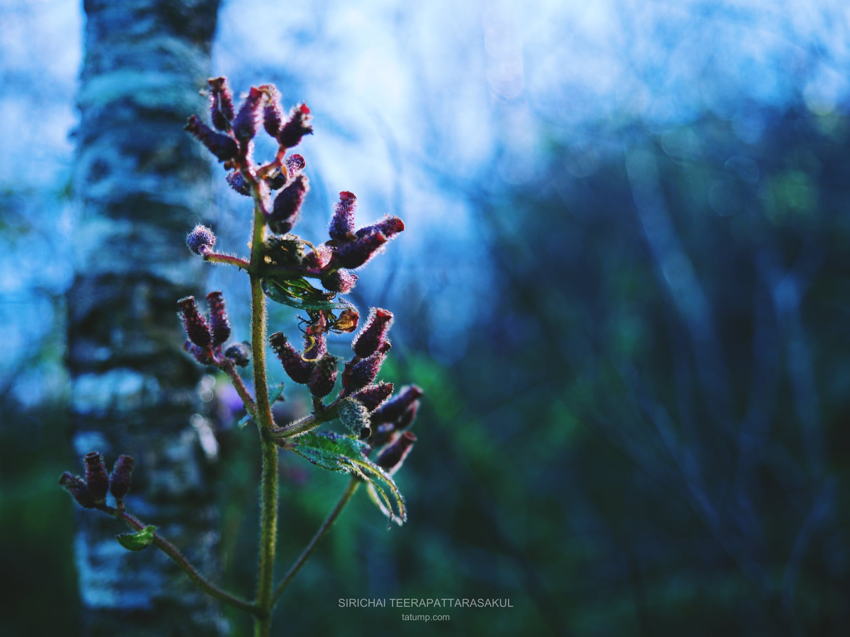 ความโชคดีคือโอกาสที่ผ่านมาแล้วเราพร้อมรับมัน