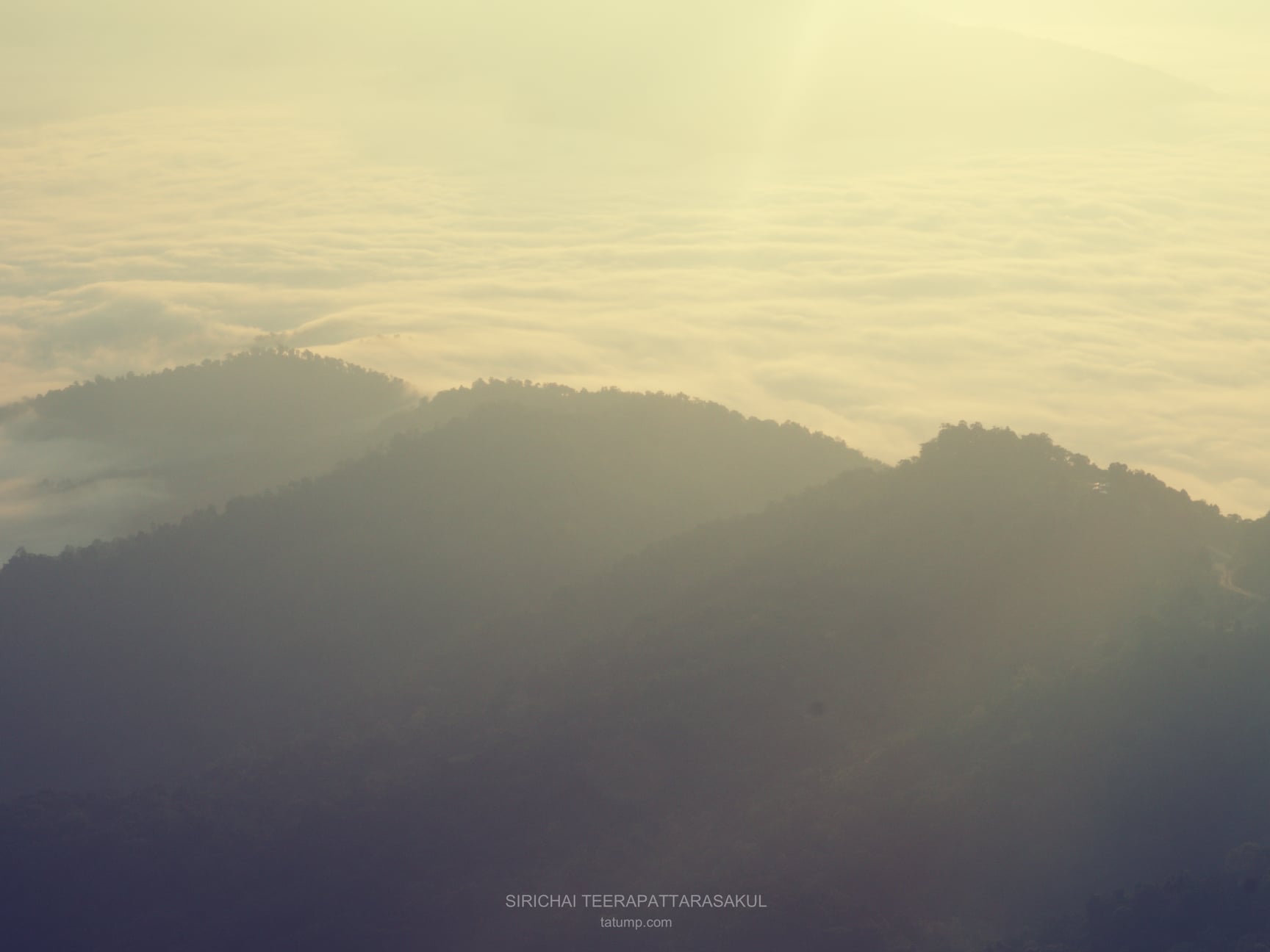 ภาวะ information overload ข้อมูลท่วมหัวเอาตัวไม่รอด