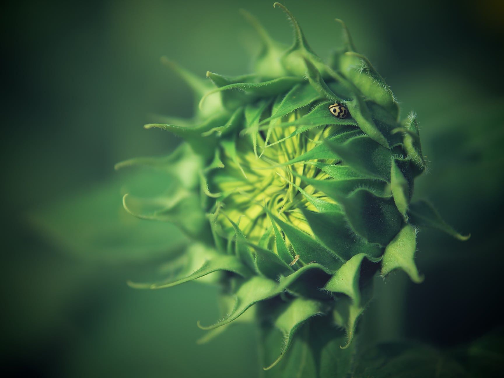 ความกล้าและความขี้เกียจในการออกกำลังกาย