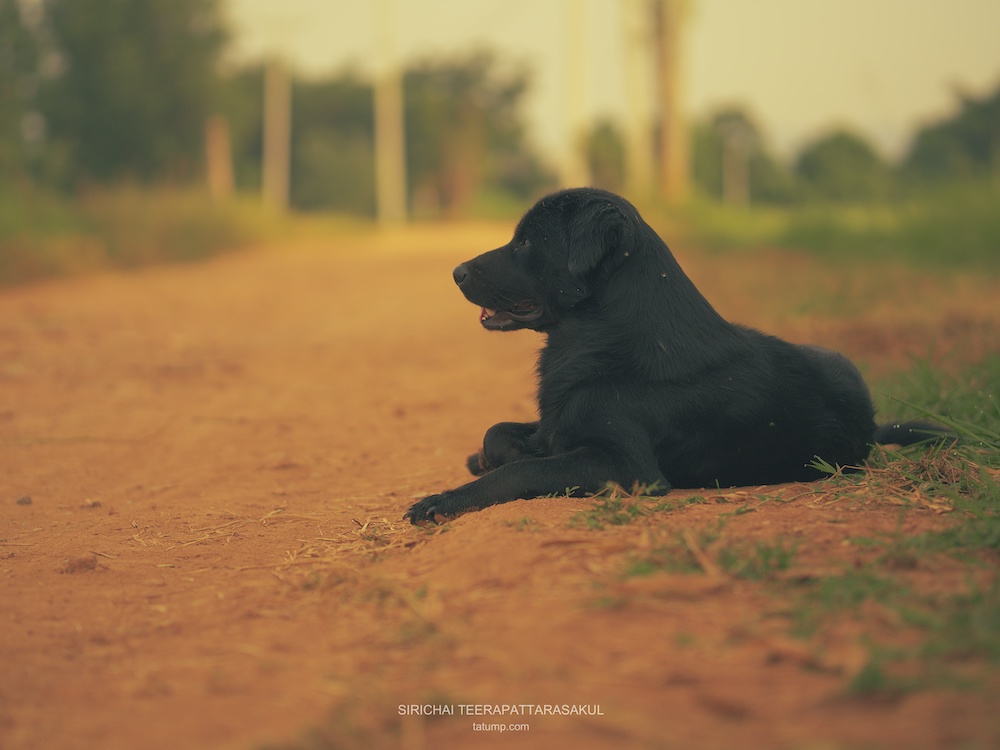 ชีวิตมี “ความสุข” ด้วยการ “ช่างแม่ง !”