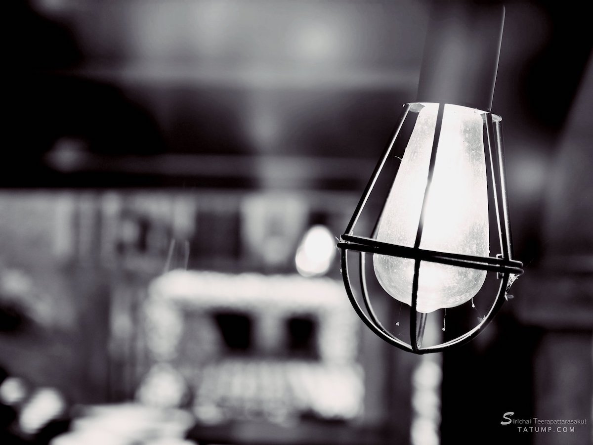 พิมพ์เขียวชีวิต