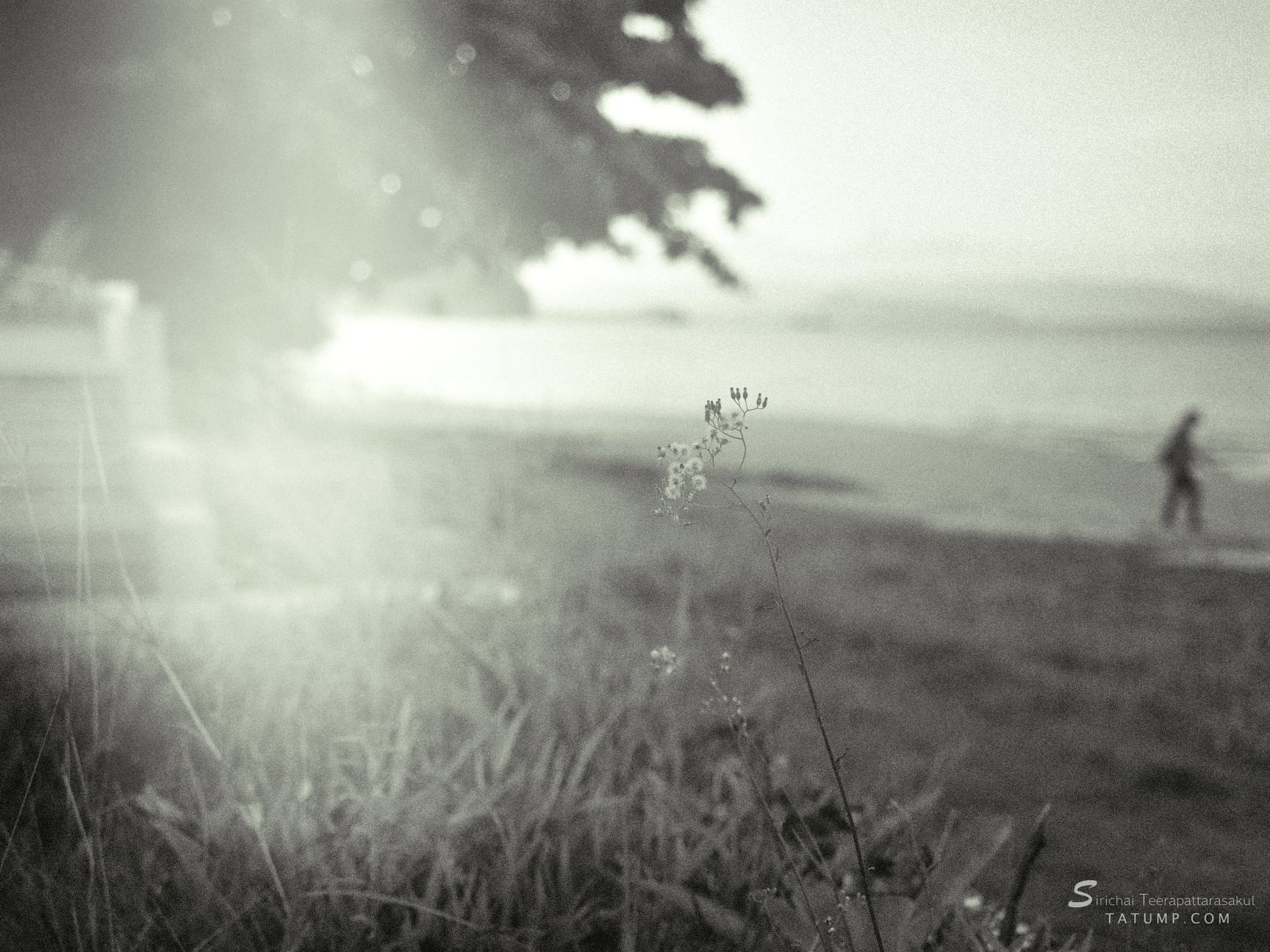 ทำไมถึงเลือกใช้ Macbook Air ?