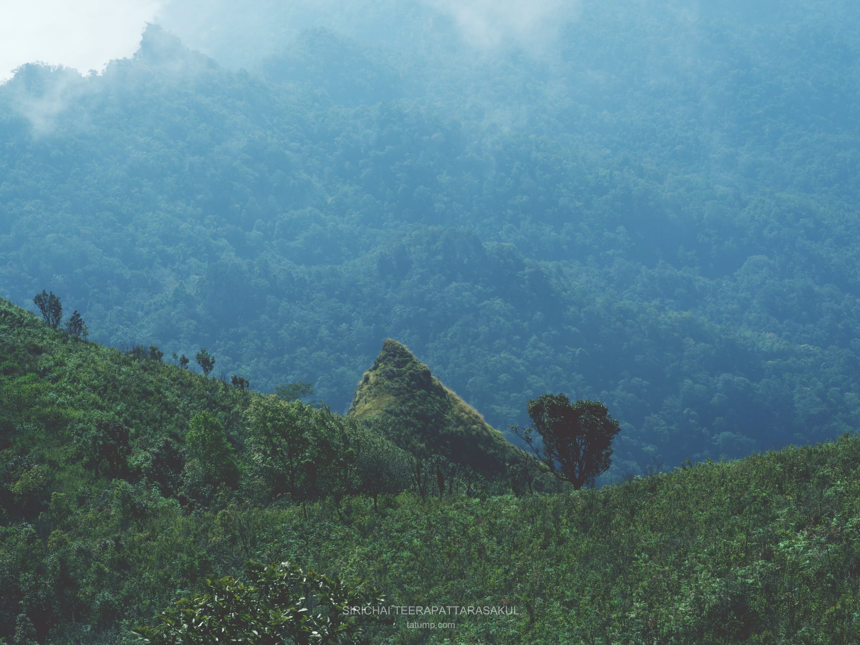 คนที่ไม่เคยทำอะไรผิดคือคนที่ไม่เคยทำอะไรเลย