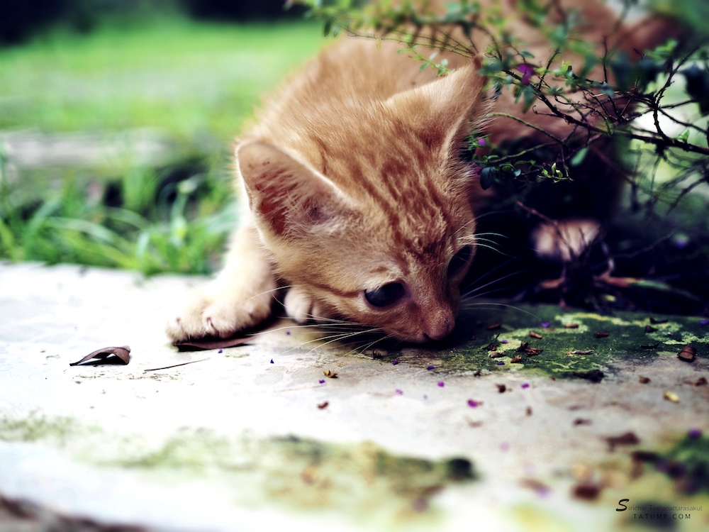 ฉันในวันนี้ต้องดีกว่าเมื่อวาน