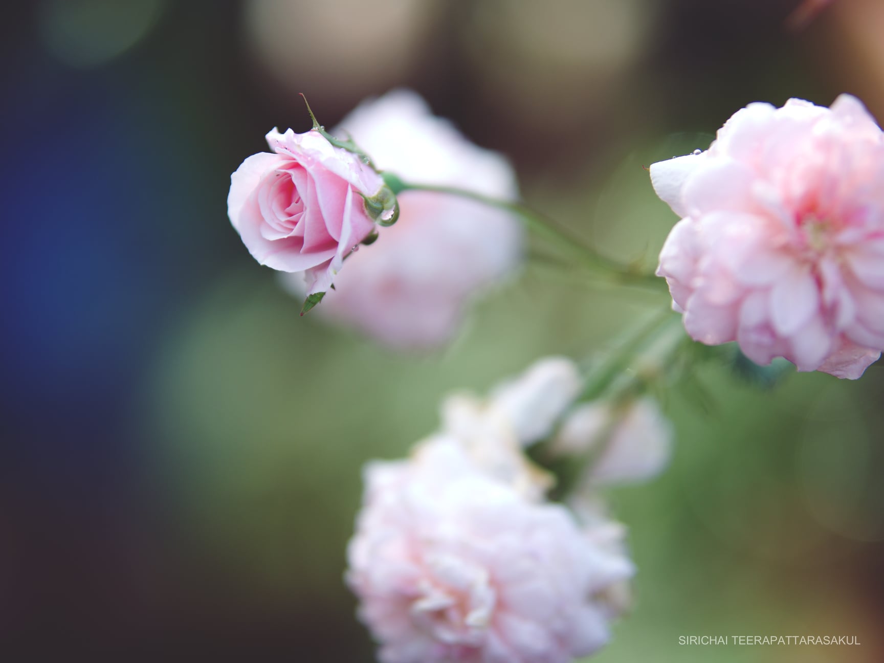 มองบวกหยุดบ่นและไม่คิดแทนคนอื่น