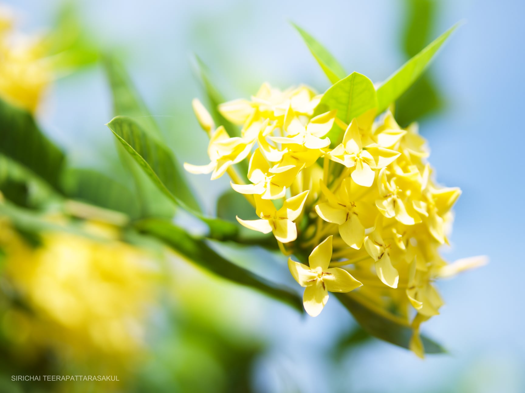 พื้นที่ส่วนตัวที่ไม่ส่วนตัว