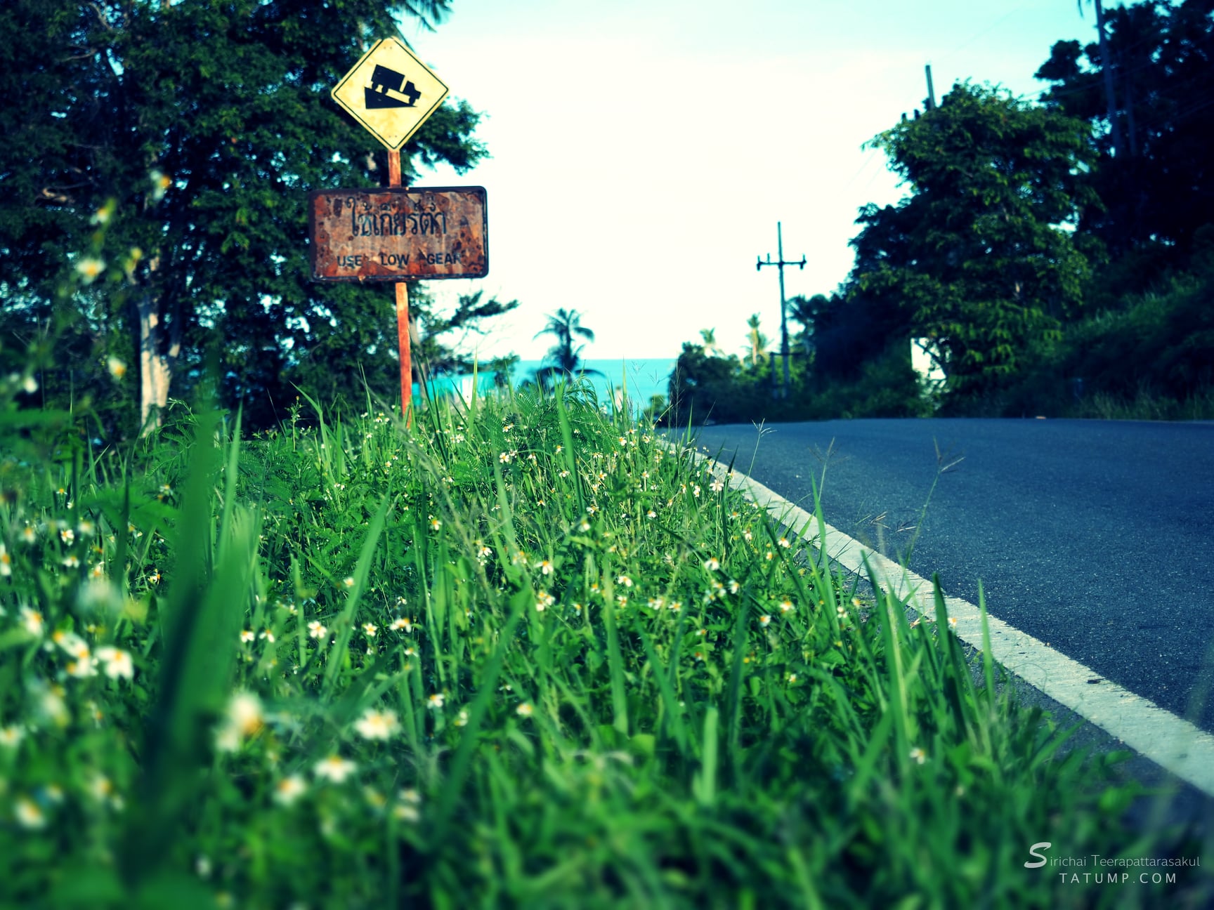 อ่านหนังสือตอนเช้า