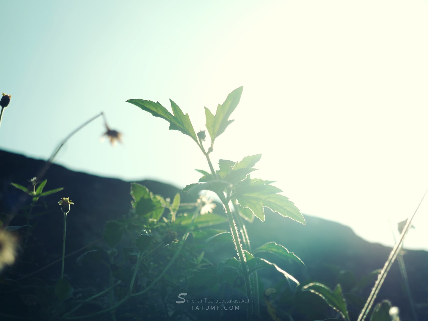 จดไว้จะได้ไม่ลืม