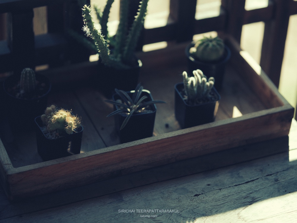 คุณค่าในสิ่งของ