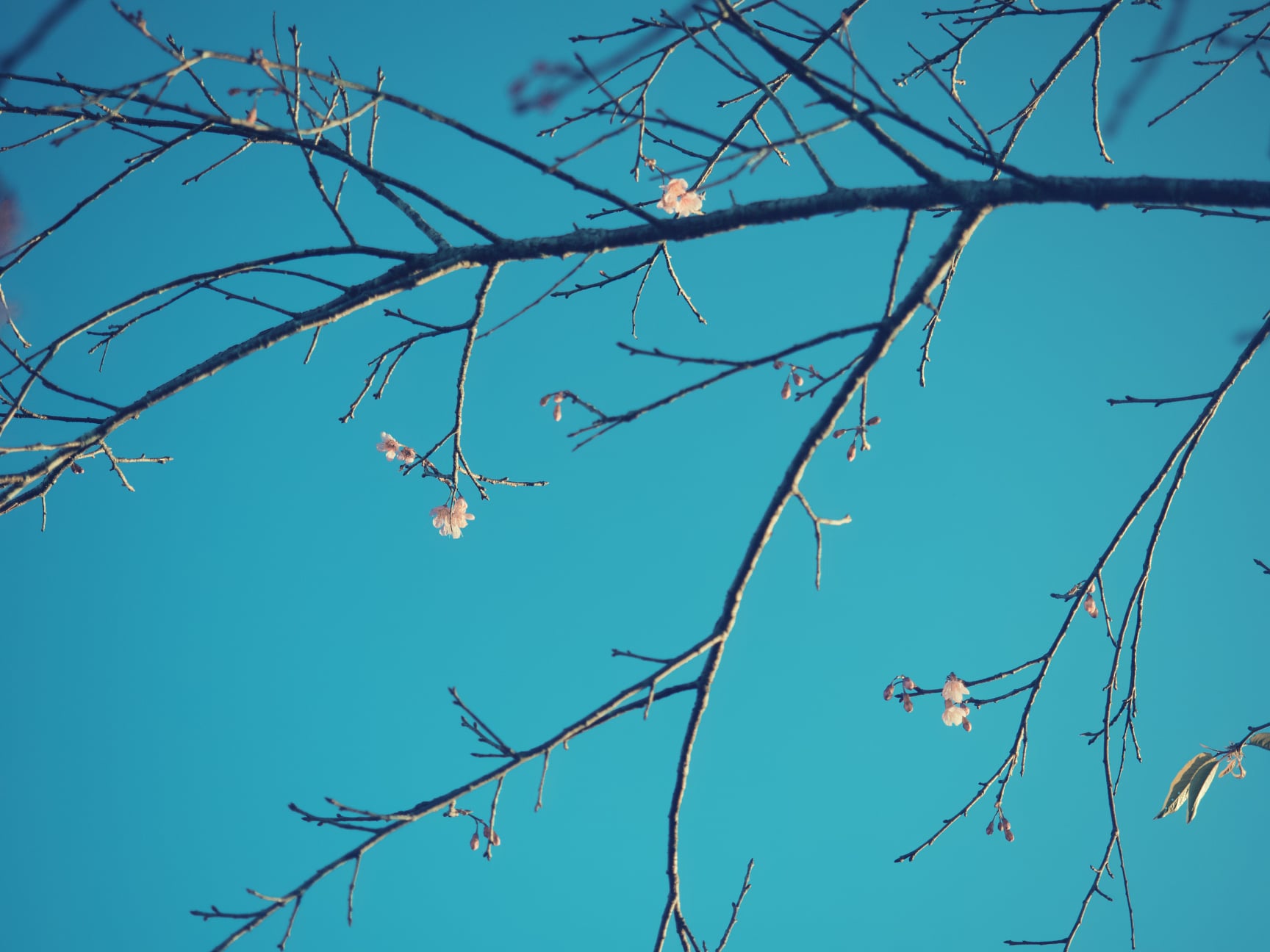 บันทึกการเล่นเวท 4 เดือน ที่ผ่านมา