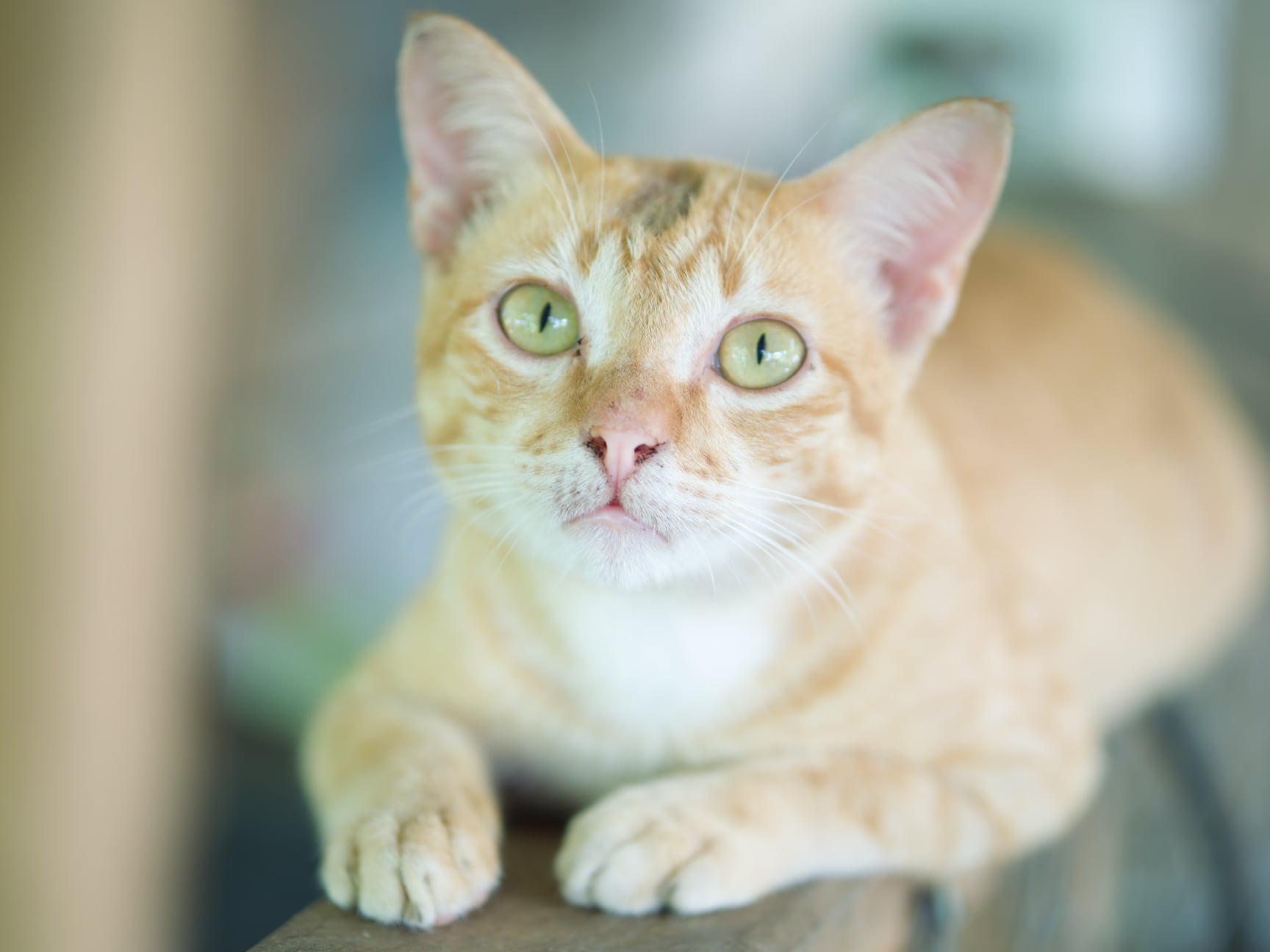 ไม่ใช่เรื่องของเรา